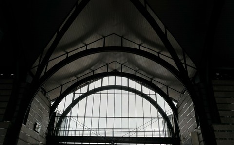 Geometry of Ladozhsky