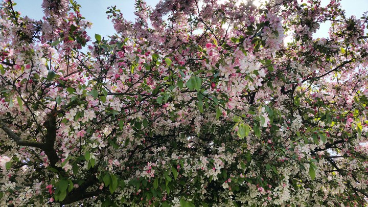 Spring is there