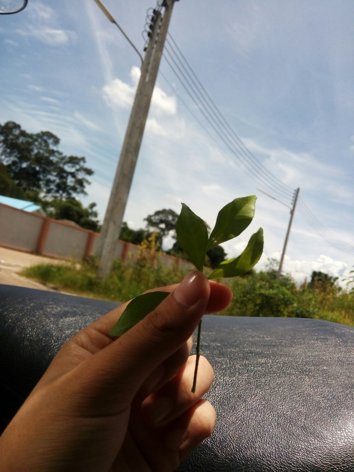 alone