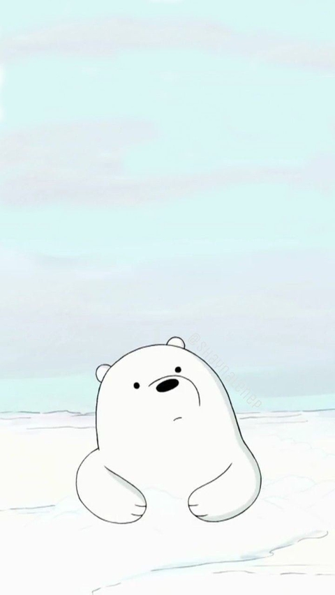 Polar bear