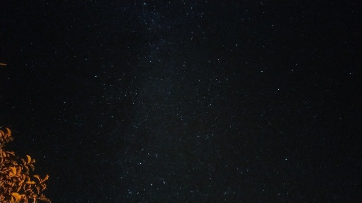 Stars