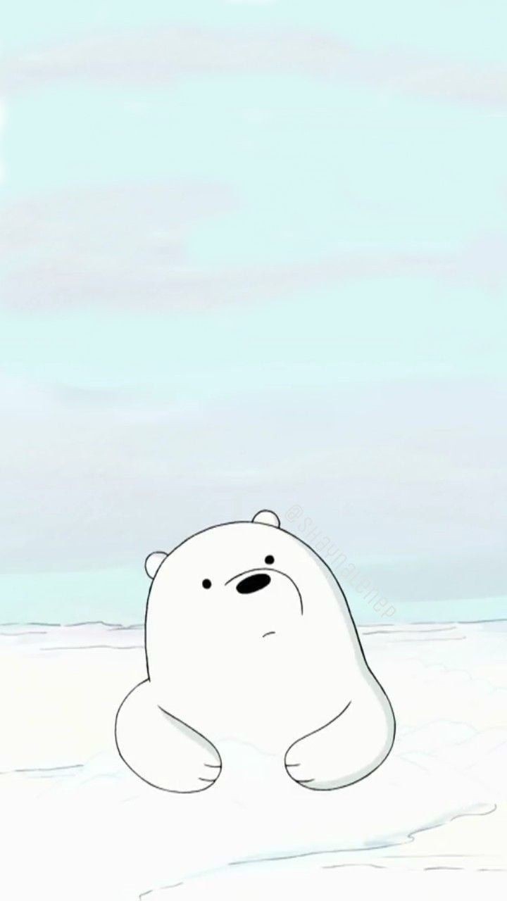 Polar bear