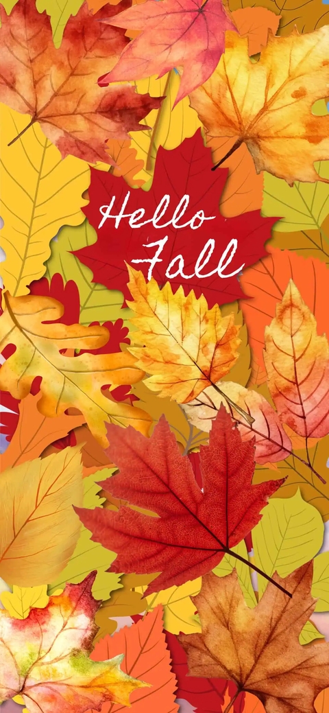 ~• Hello Fall •~