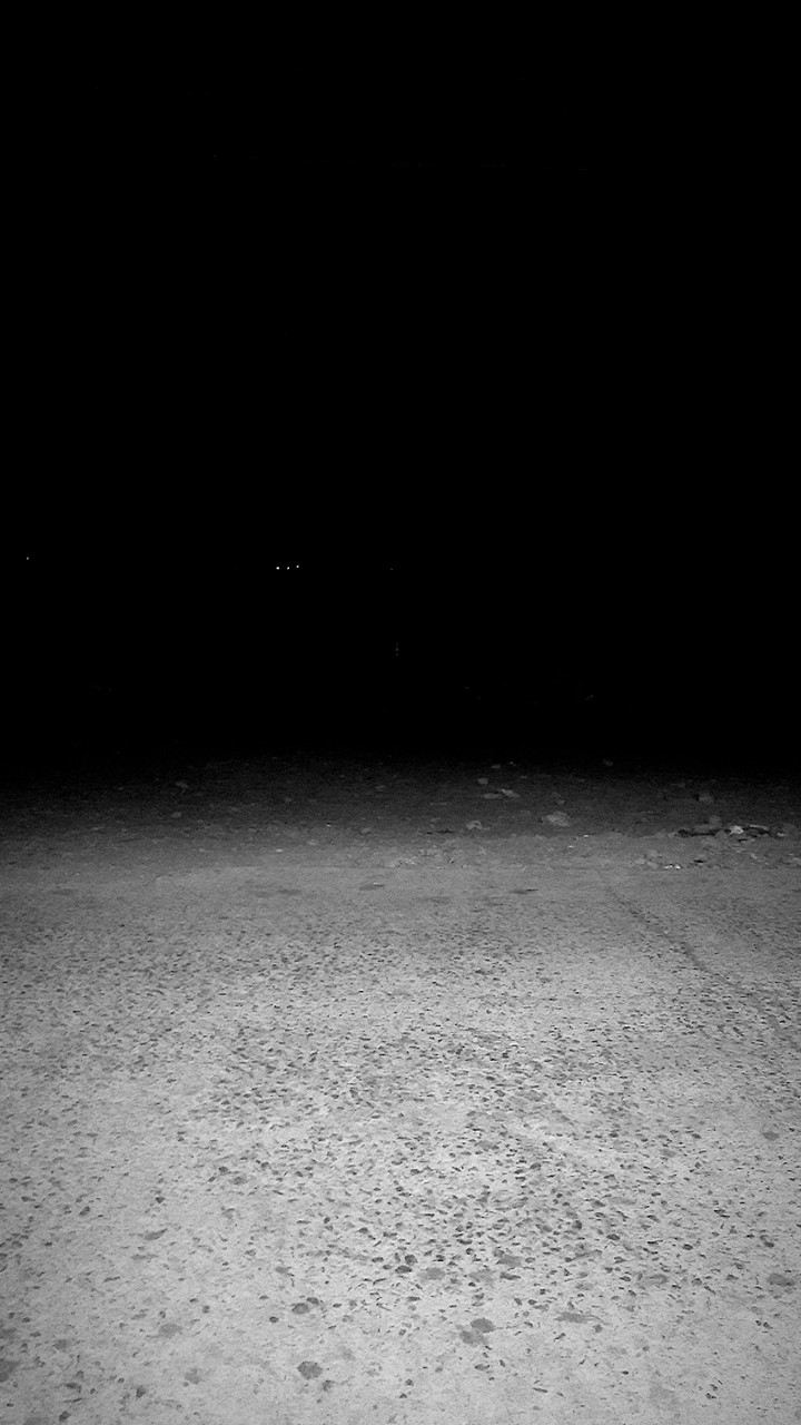 black and white