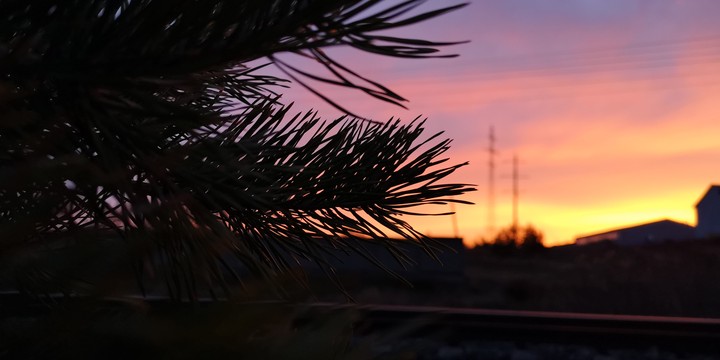 рассвет