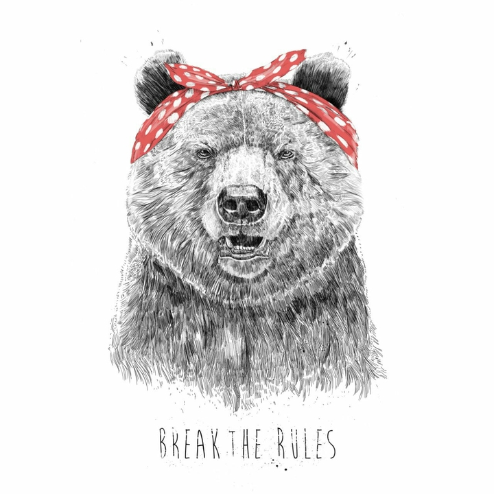 break the rules