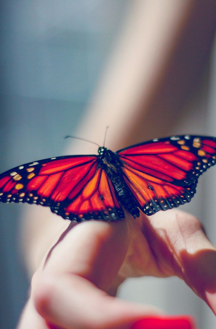 Beautiful