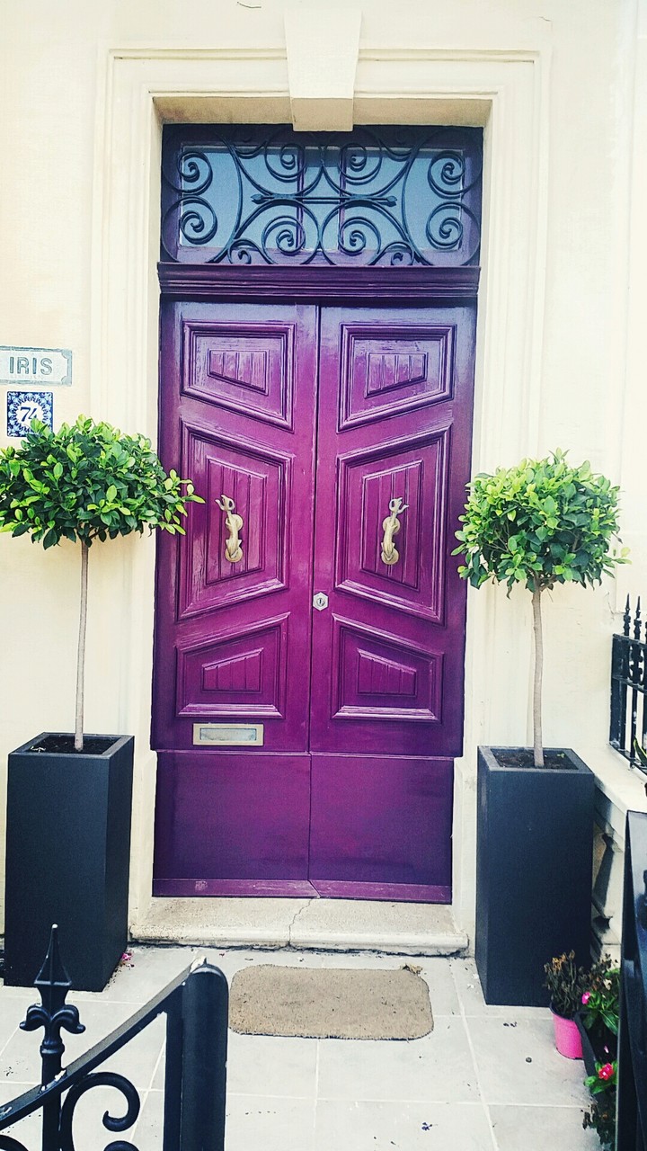 Beautiful Door