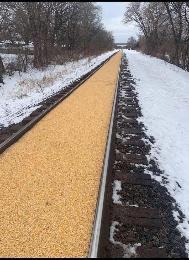 Amerika Minnesota