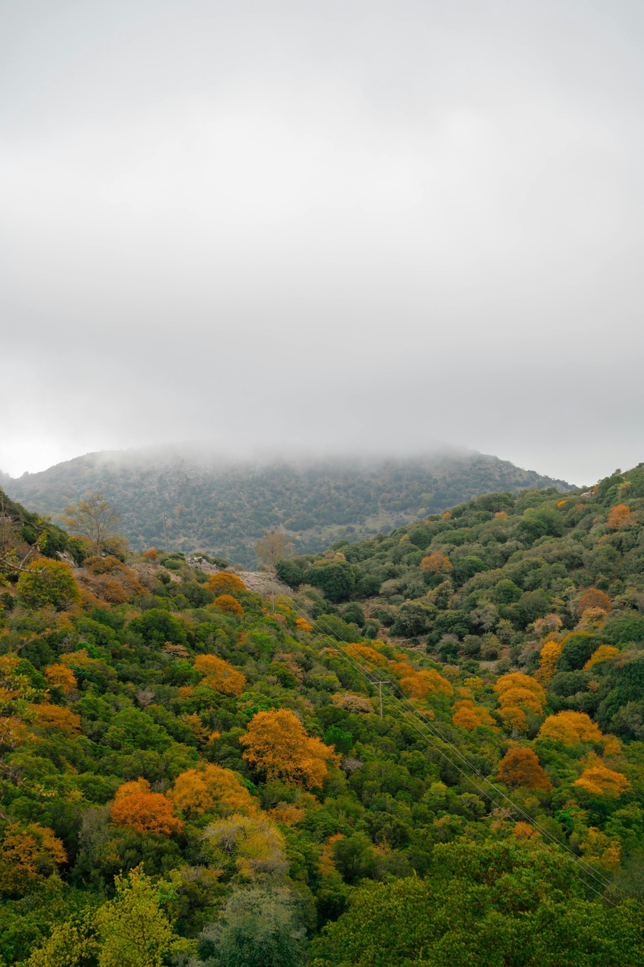 sfondi highland, hill