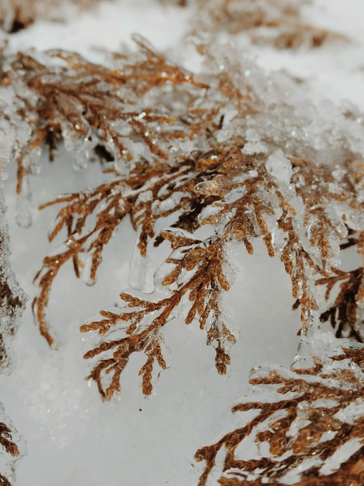 winter