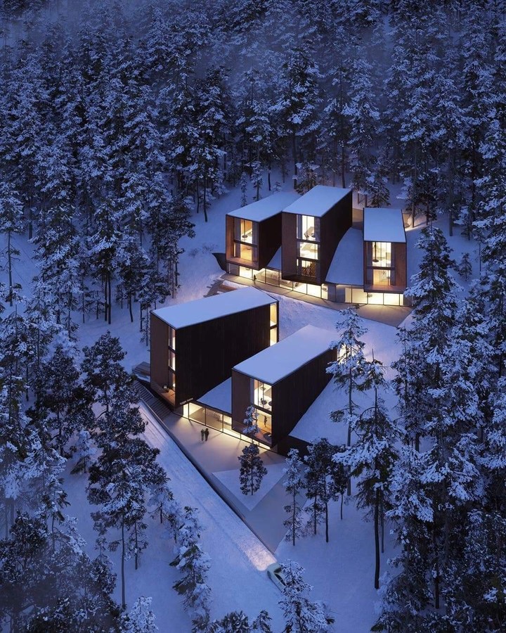 Winter house