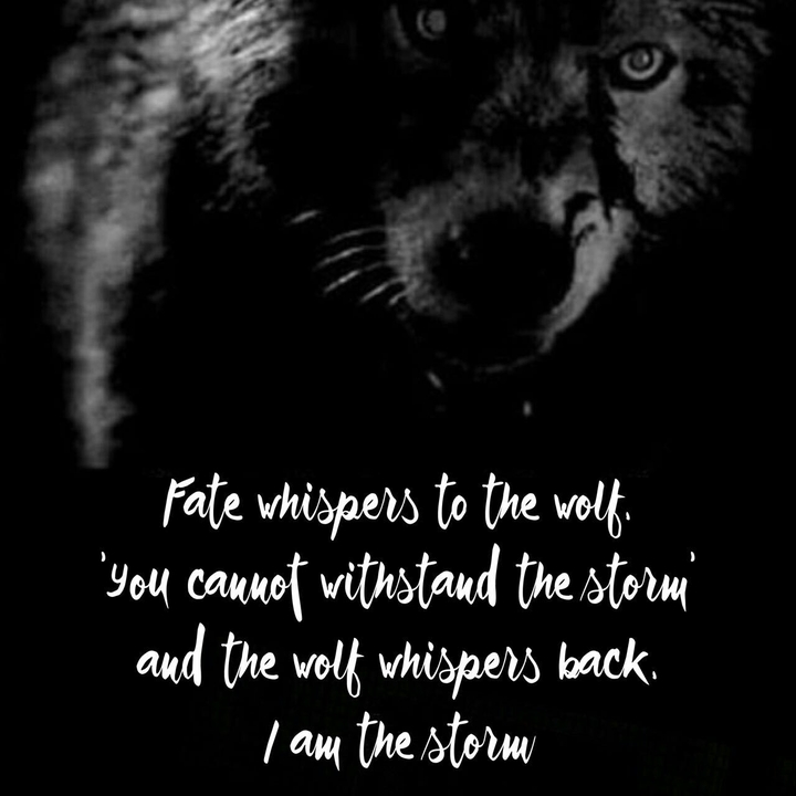 fate and wolf