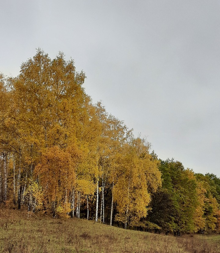 осень