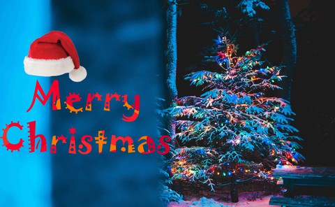 MERRY CHRISTMAS TO ALL MY DEAR FRIENDS
