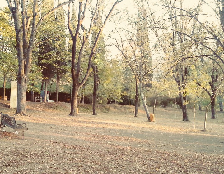 Nature