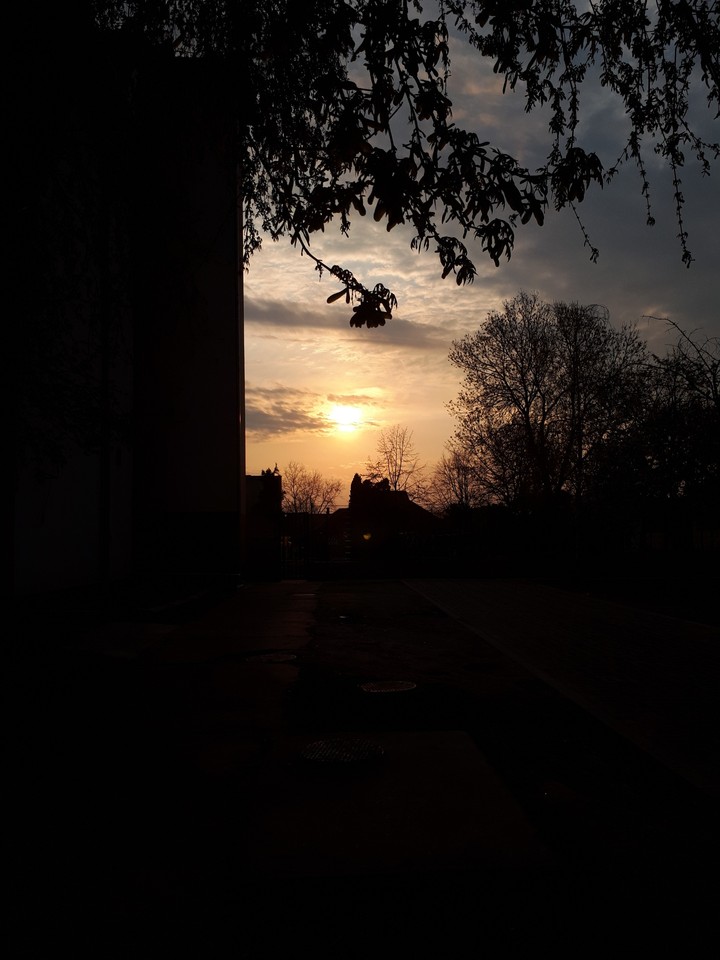 sunset