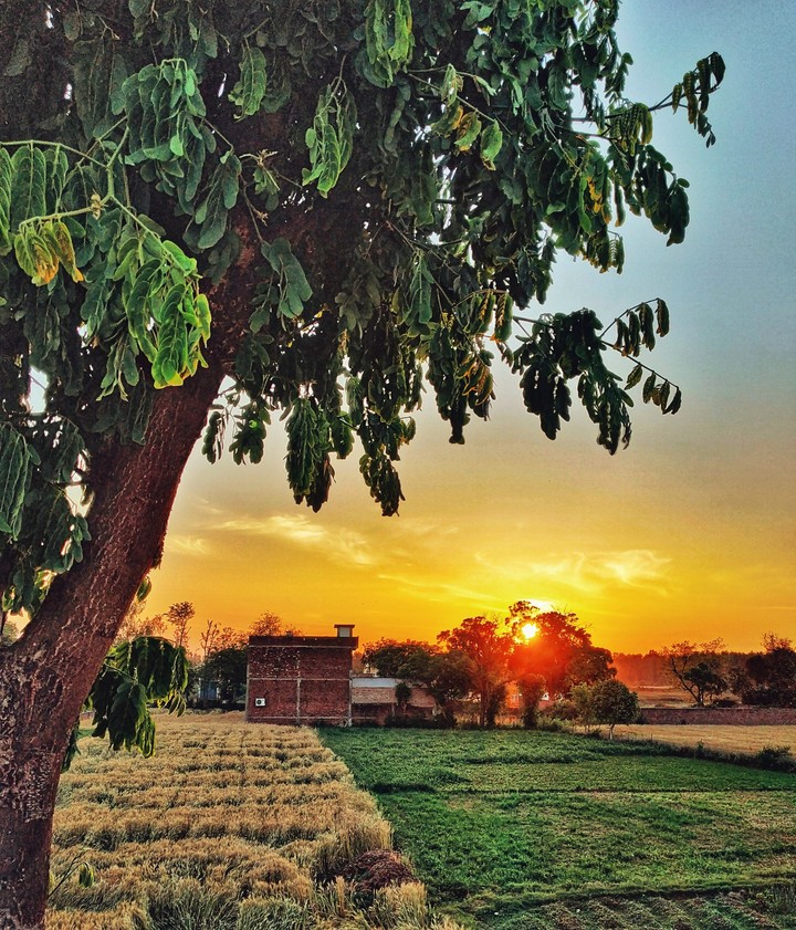 sunset