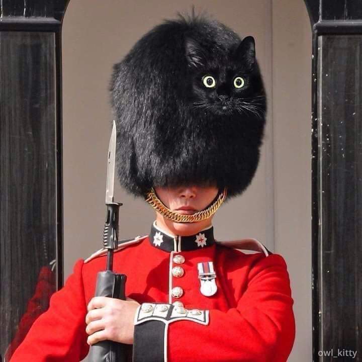 КРАСИВО ИЗ ЖИЗНИ