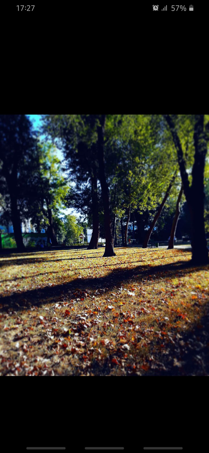 autumn?????