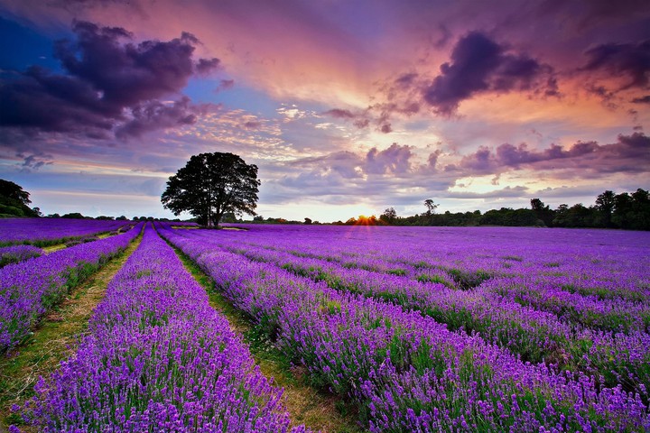 Nature's Beauty