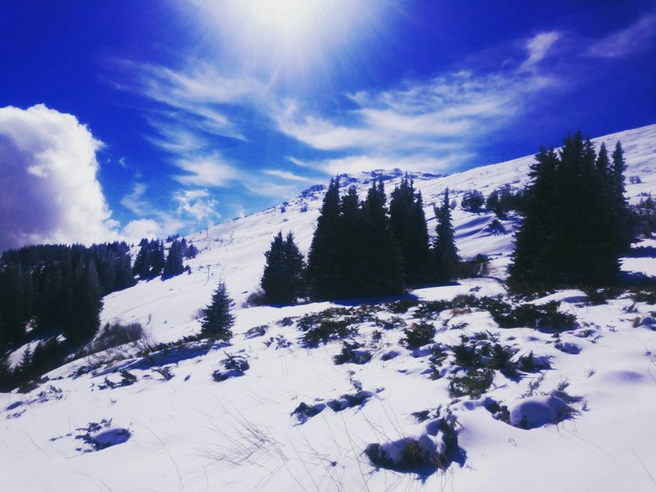 Vitosha mountain