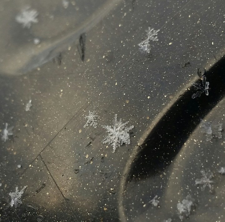 snowww