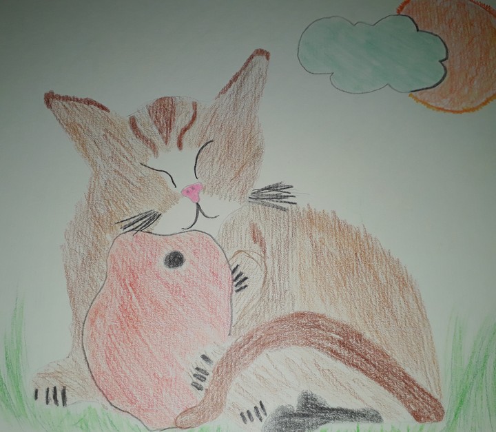 mize Katze