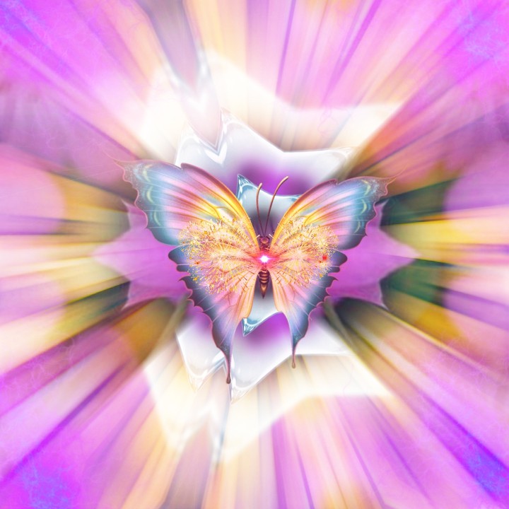 Schmetterling