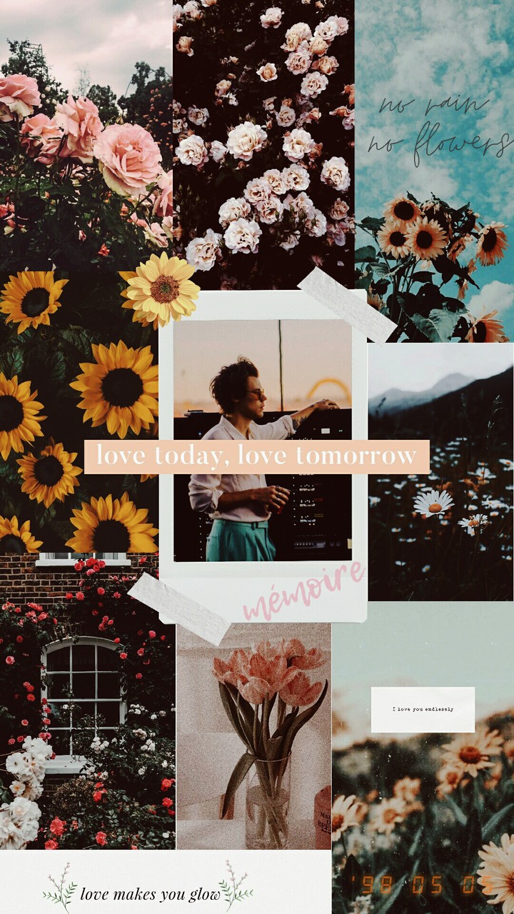 Harry Styles