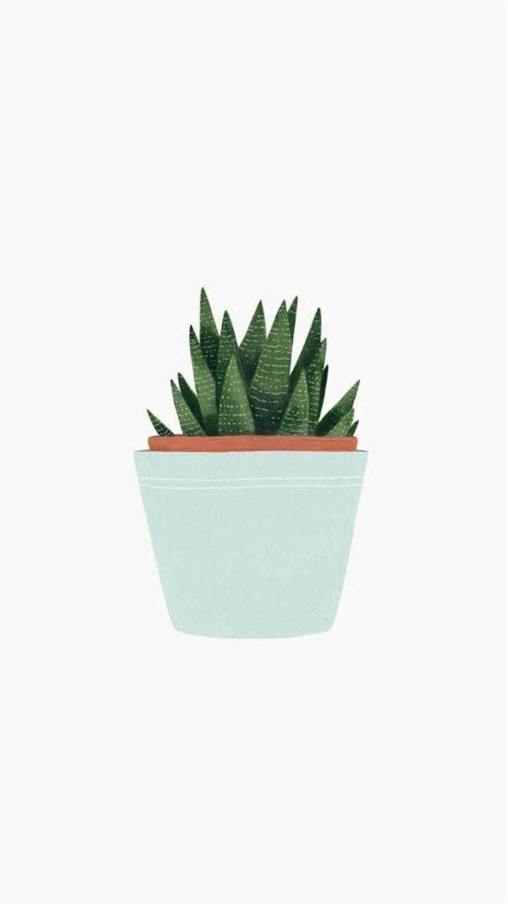 plant