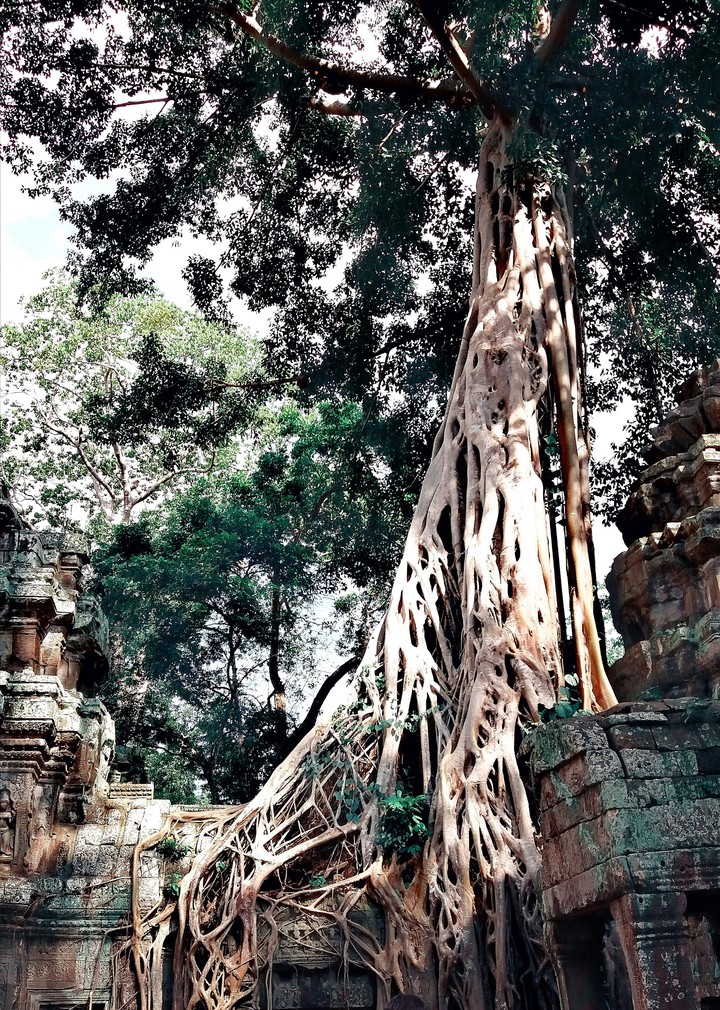 1000 Years.