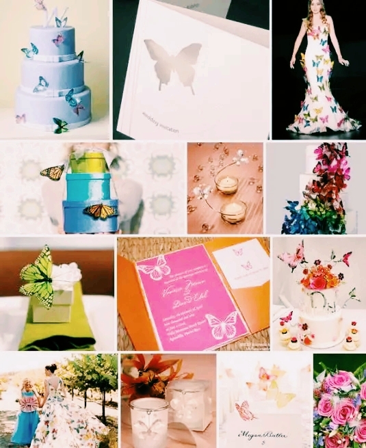 Butterfly Theme Collage
