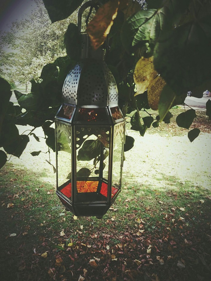 Lantern