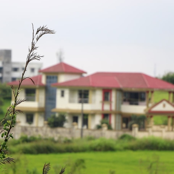 Greenery