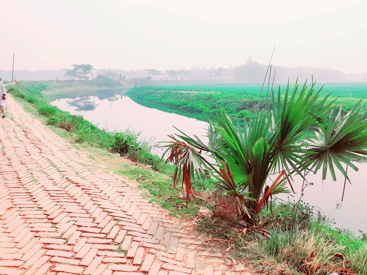 It is a really nice sight.This Image Is clicked by Phone.