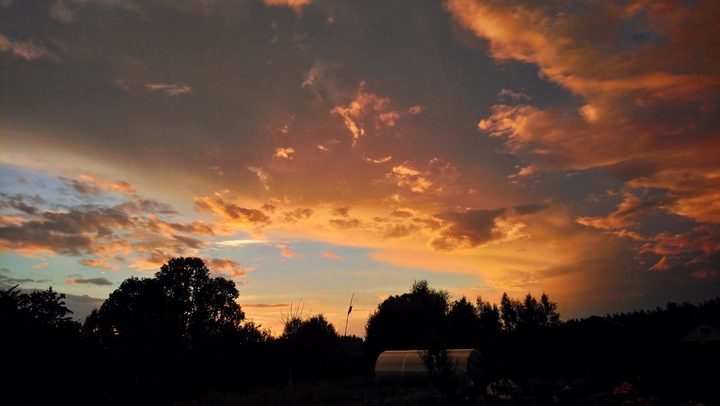 after the rain
