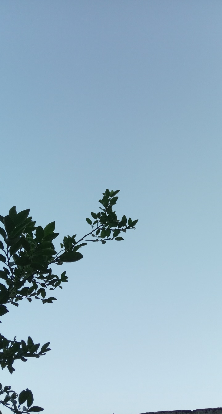 sky