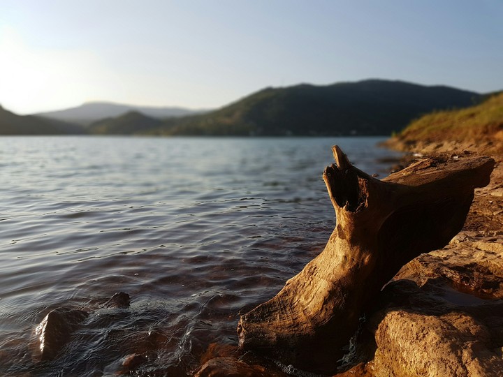 Wood on the beach