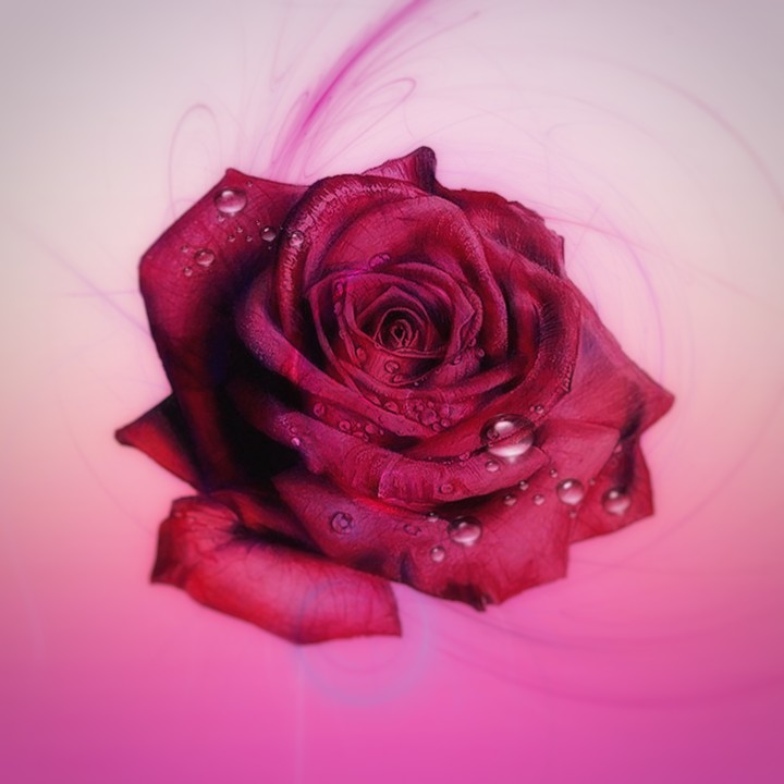 Pink color