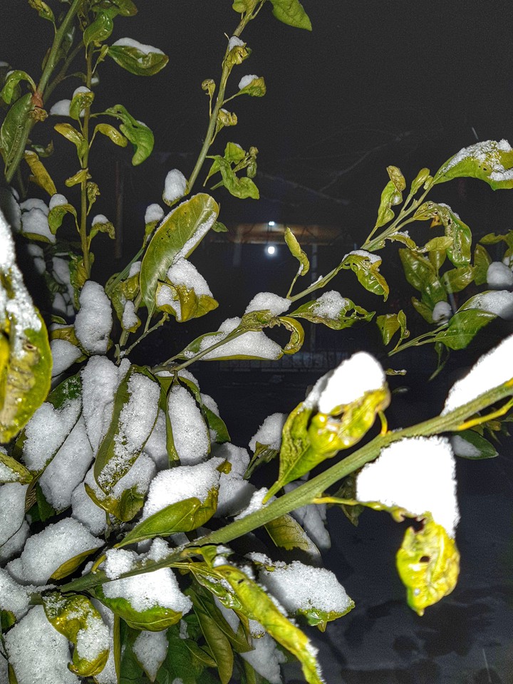 snow time