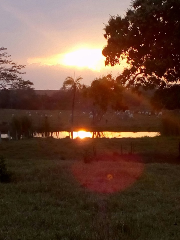 por do sol