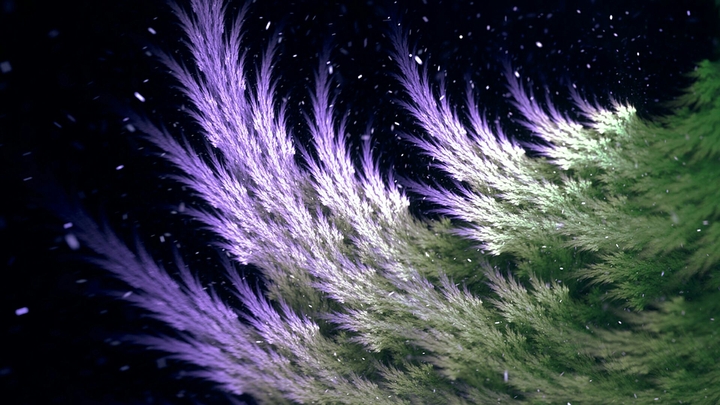 Abstract