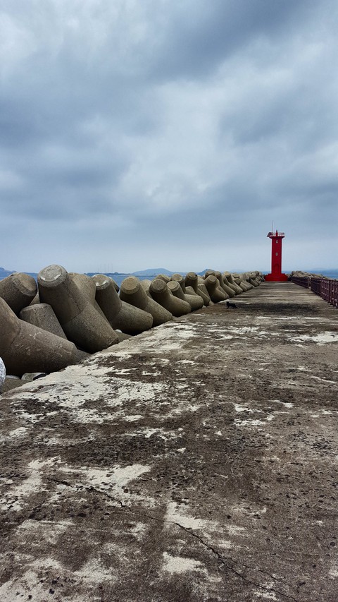 Seawall