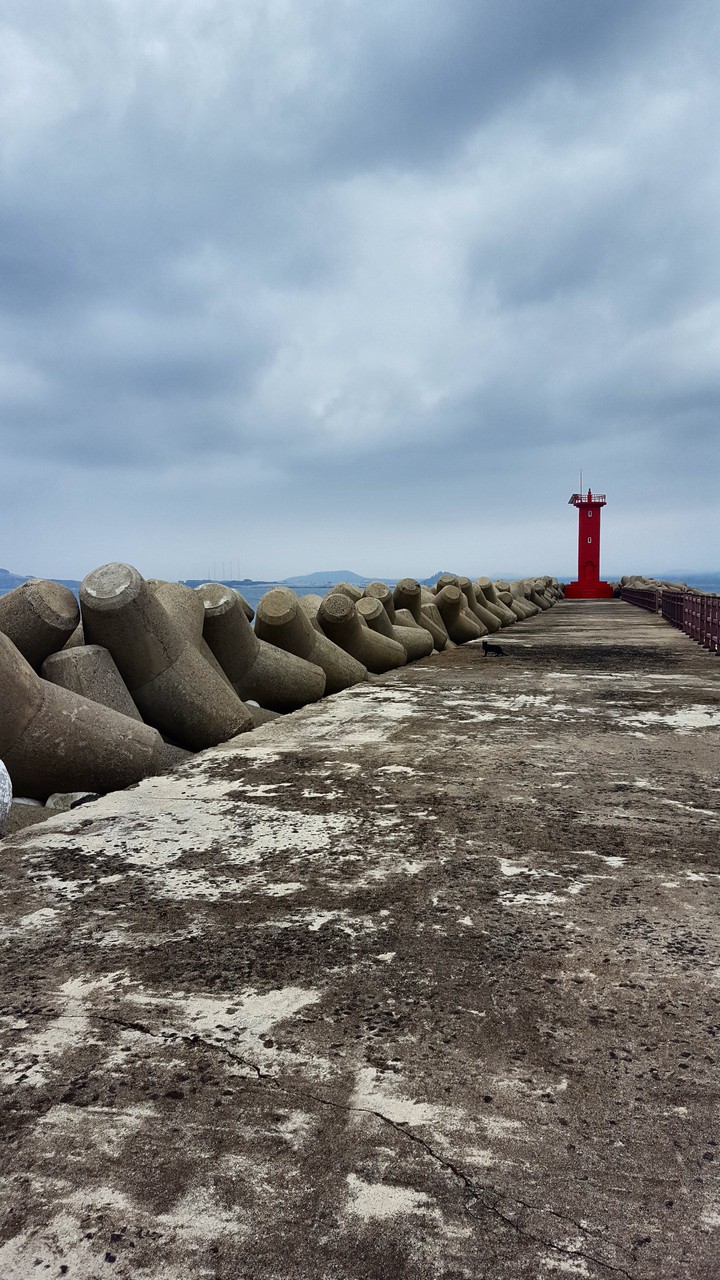 Seawall