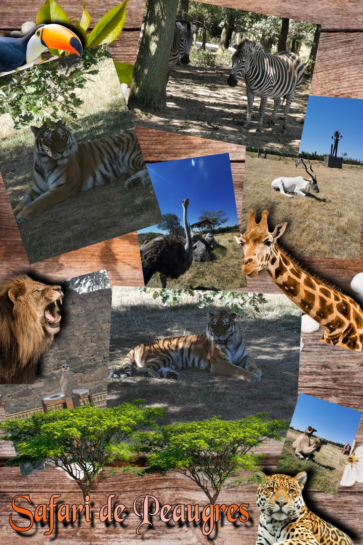 Visite d'un Zoo