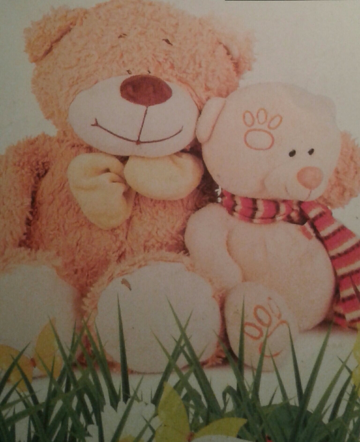 Bears 