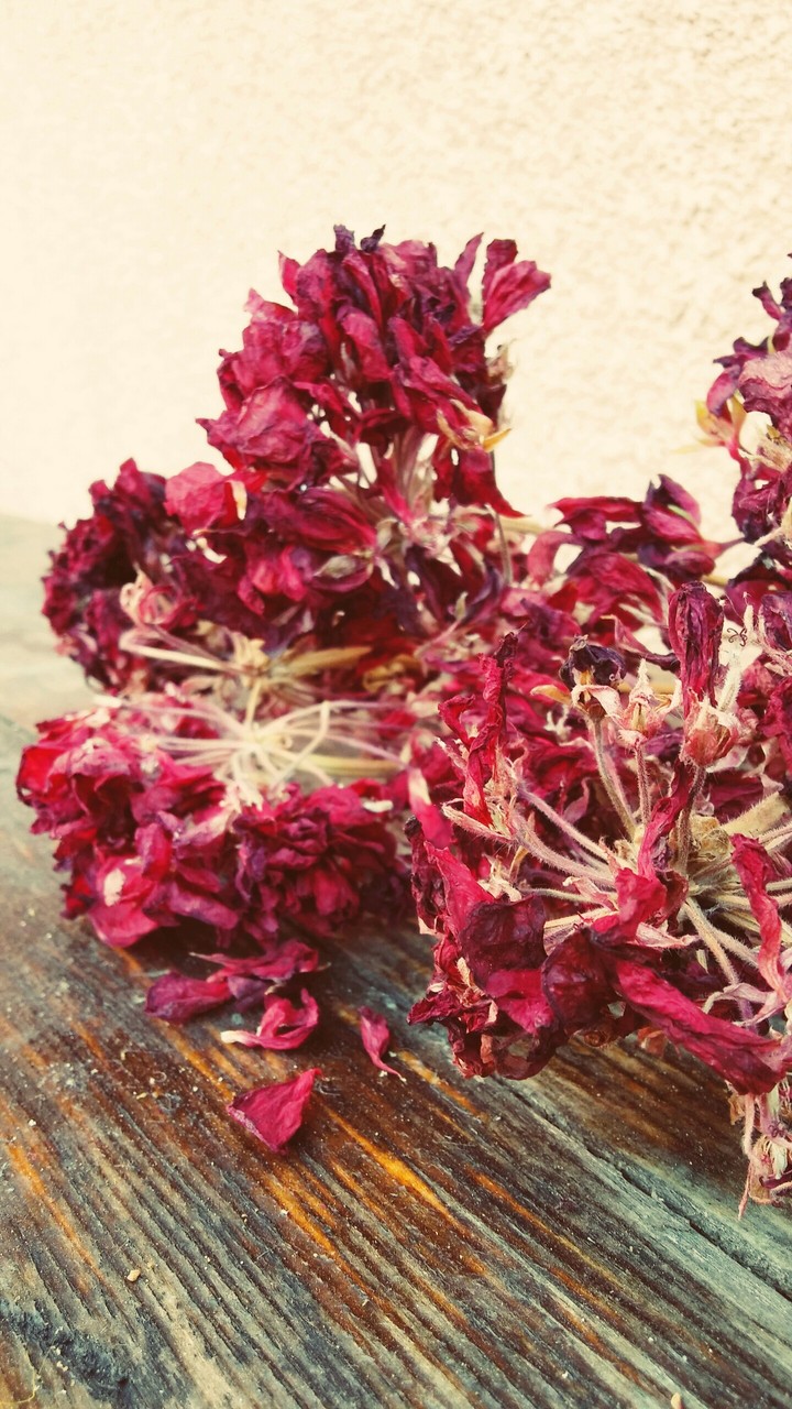 old flower