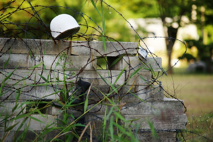 Wall