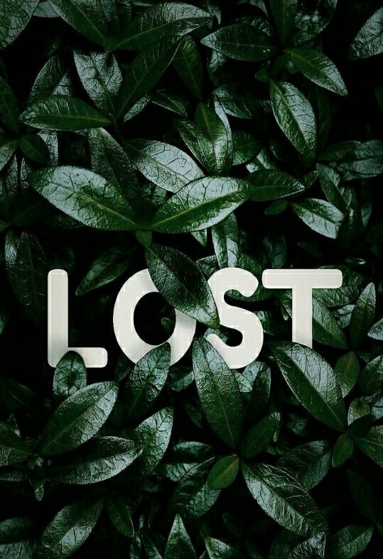 lost..